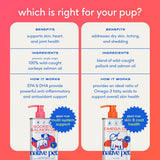 Native Pet Omega 3 Fish Oil for Dogs & Cats - Promotes Healthy Skin, Shiny Coat, & Strong Joints - Made with Wild Alaskan Salmon Oil for Dogs – Tasty, Fast-Absorbing Omega 3 6 9 Liquid Supplement- 8Oz