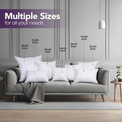 Utopia Bedding Throw Pillows Insert (Pack of 2, White) - 18 X 18 Inches Bed and Couch Pillows - Indoor Decorative Pillow